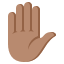 ✋🏽