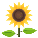 Sunflower Emoji, Emoji One style