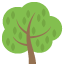 deciduous_tree