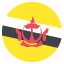 :flag_bn: