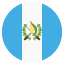 :flag_gt: