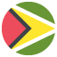 :flag_gy: