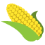 :corn: