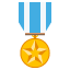 🎖️
