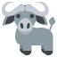 :water_buffalo: