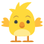 🐥