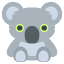 :koala:
