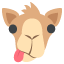 :dromedary_camel: