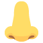 :nose: