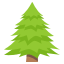 evergreen_tree