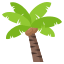 :palm_tree: