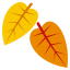 fallen_leaf