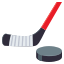 :hockey: