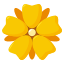 :rosette: