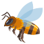 :bee:
