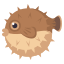 :blowfish:
