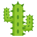 🌵