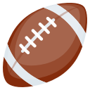 🏈