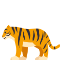 🐅