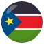 🇸🇸