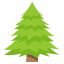 🌲