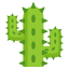 🌵