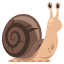 ð