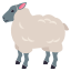 :sheep: