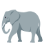 :elephant: