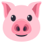 :pig: