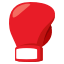 :boxing_glove: