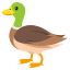 🦆