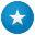 🇸🇴