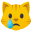 :crying_cat_face: 😿
