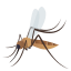 Mosquito :mosquito: 🦟