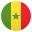 🇸🇳