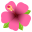 :hibiscus: