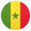 🇸🇳