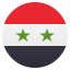 🇸🇾