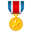 🎖