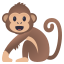 :monkey: