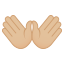 Open hands: medium-light skin tone :open_hands_tone2: ððŒ