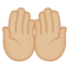 Palms up together: medium-light skin tone :palms_up_together_tone2: ð€²ðŒ