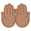 Palms up together: medium skin tone :palms_up_together_tone3: 🤲🏽