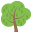 :deciduous_tree: 🌳