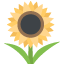 :sunflower: 🌻