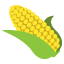 :corn: ๐ฝ