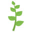 :herb: 🌿