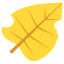 1f342.png?v=2.2