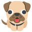 :dog2: 🐕